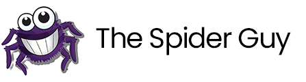 The Spider Guy logo