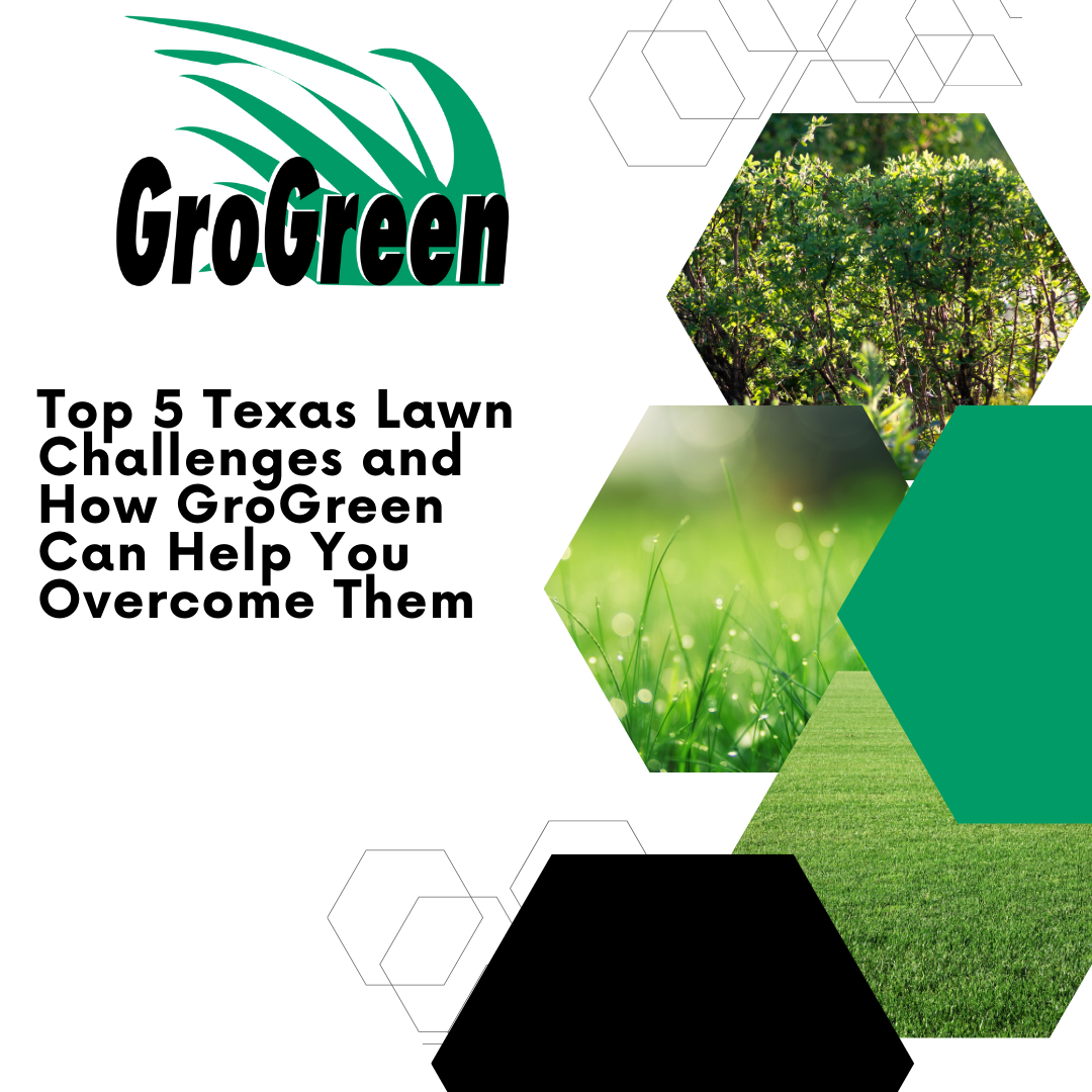 common texas lawn challenges