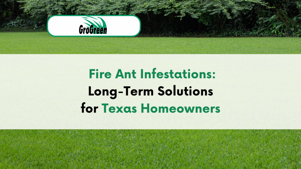 Fire Ant Infestations: Long-Term Solutions for Texas Homeowners