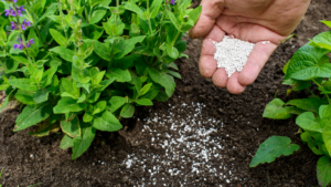 Close-up of fertilizer being spread on soil