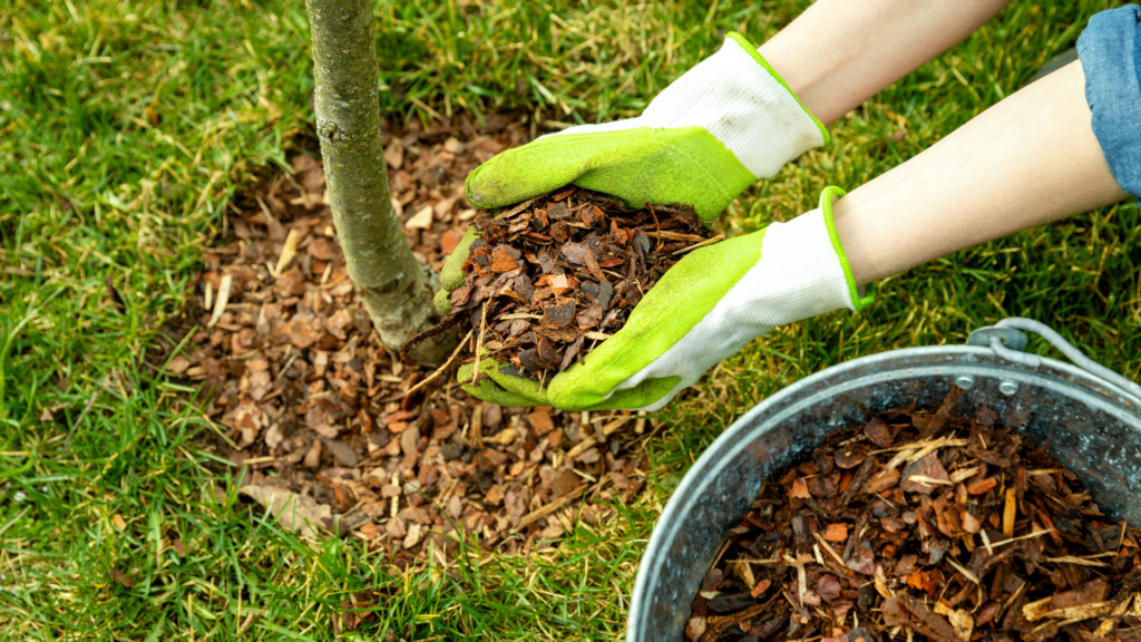 What Is Mulch Used for on Your Lawn & Landscape? 
