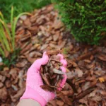 Pro Advice for Mulching Leaves in DFW
